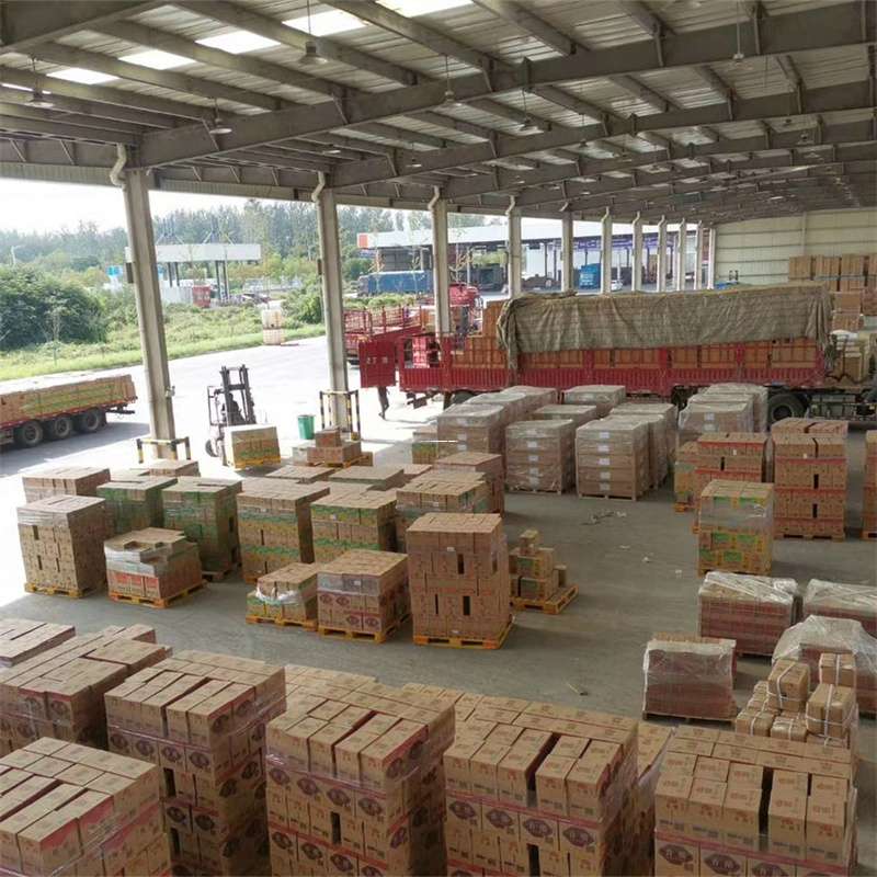 内蒙古呼和浩特托克托县到神农架物流公司一站式货运服务，高效便捷直达专线